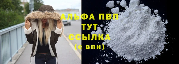 амф Инсар