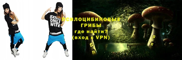 амф Инсар