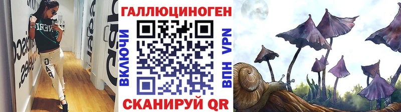 Галлюциногенные грибы Cubensis  Купить где  Буй 