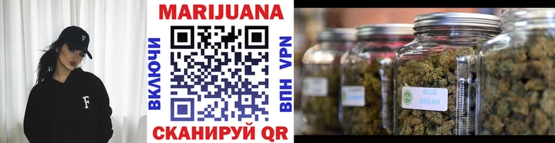Купить где  Буй  Конопля сатива 